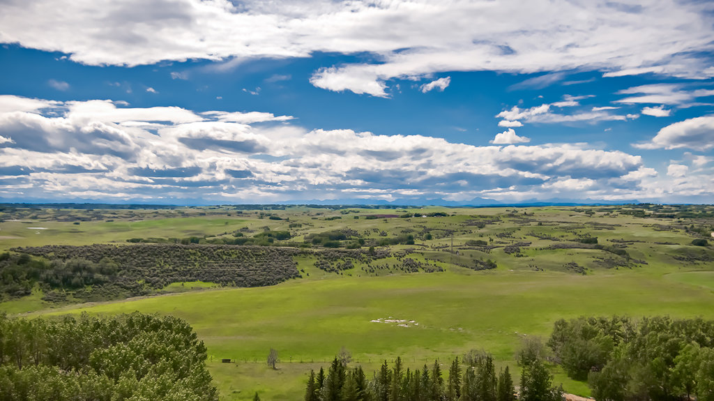 De Winton homes for sale Chamberlain Real Estate Group